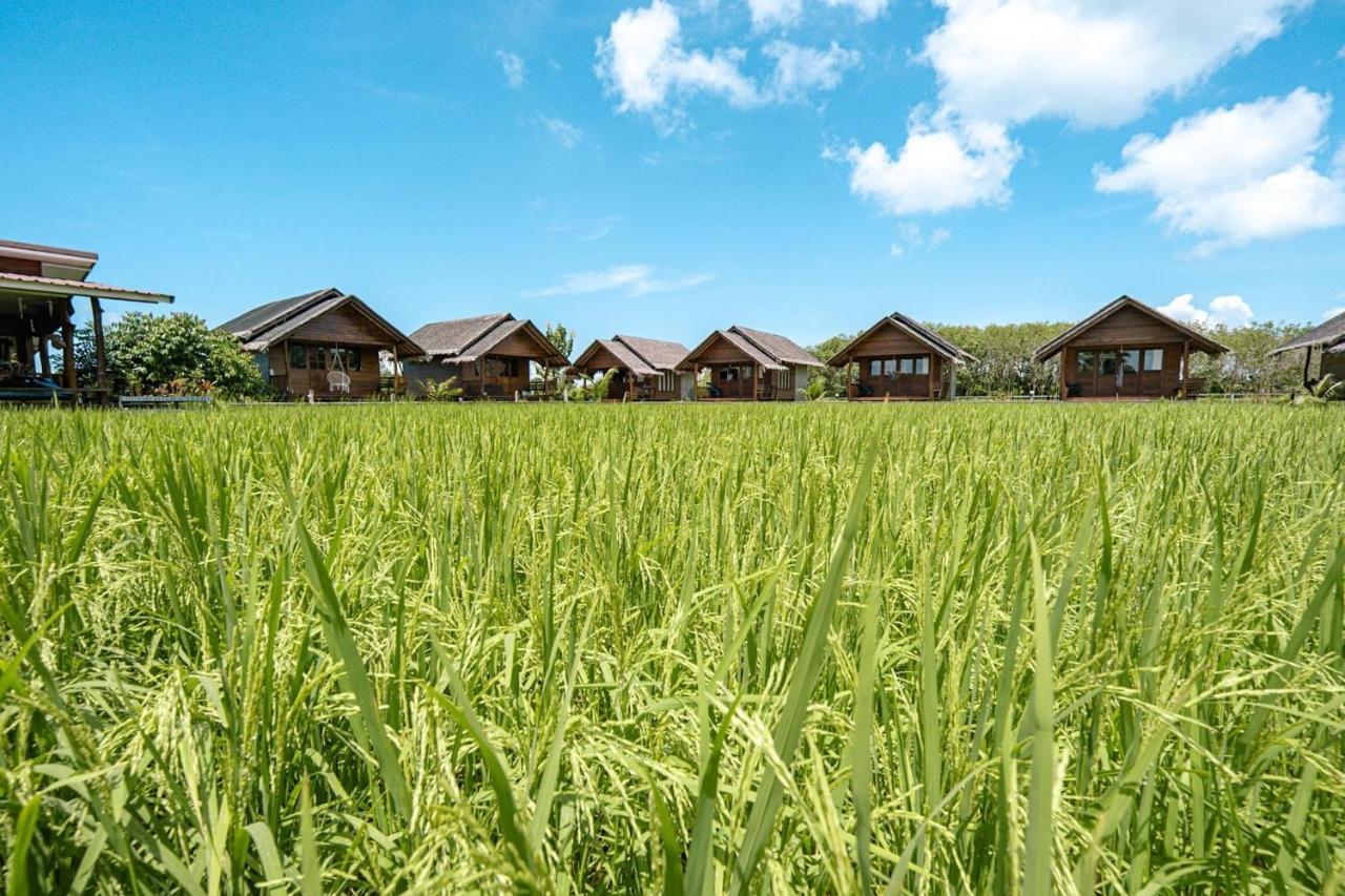 阁遥岛 Nammnatawn2旅馆 外观 照片