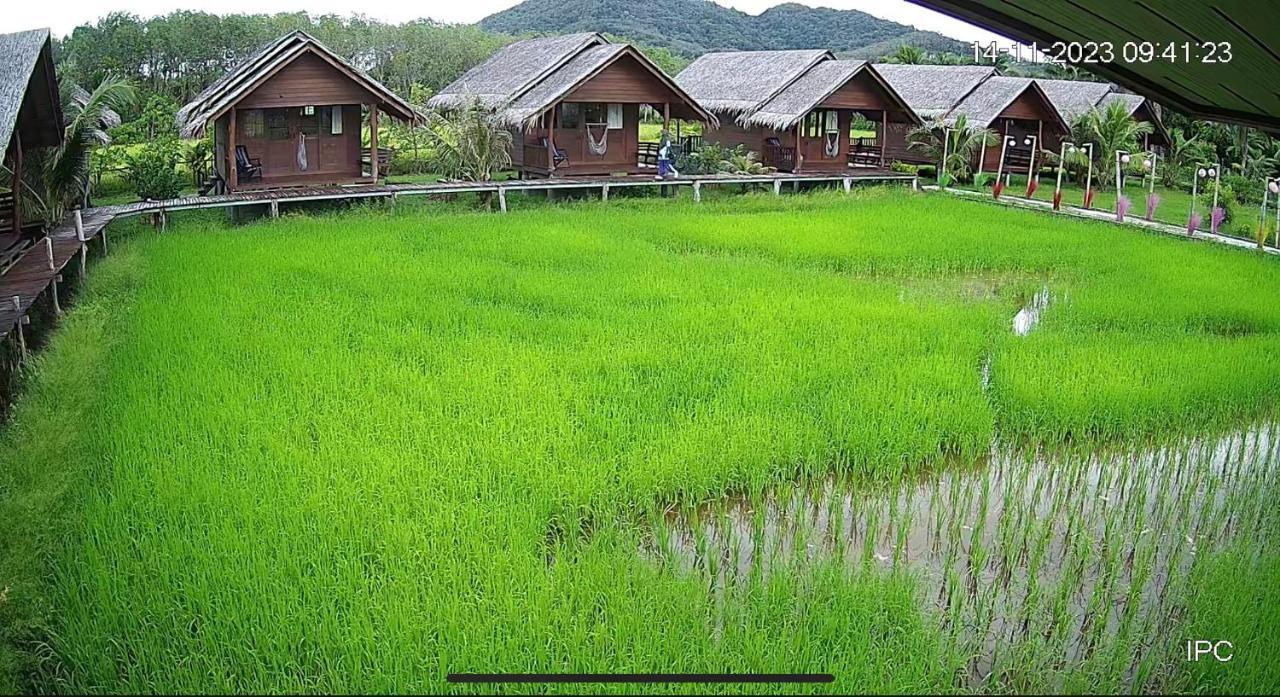 阁遥岛 Nammnatawn2旅馆 外观 照片